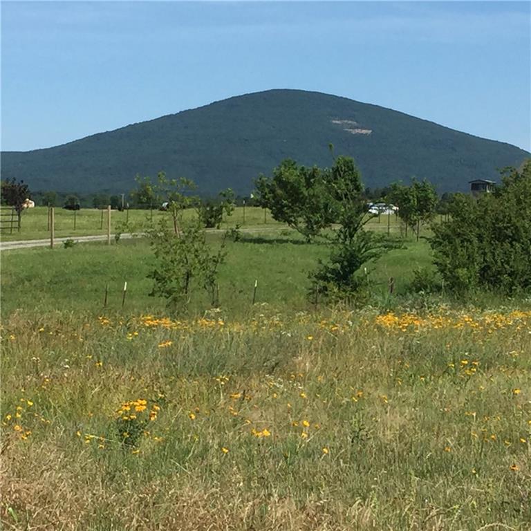 Sugarloaf Ln, Poteau, OK 74953