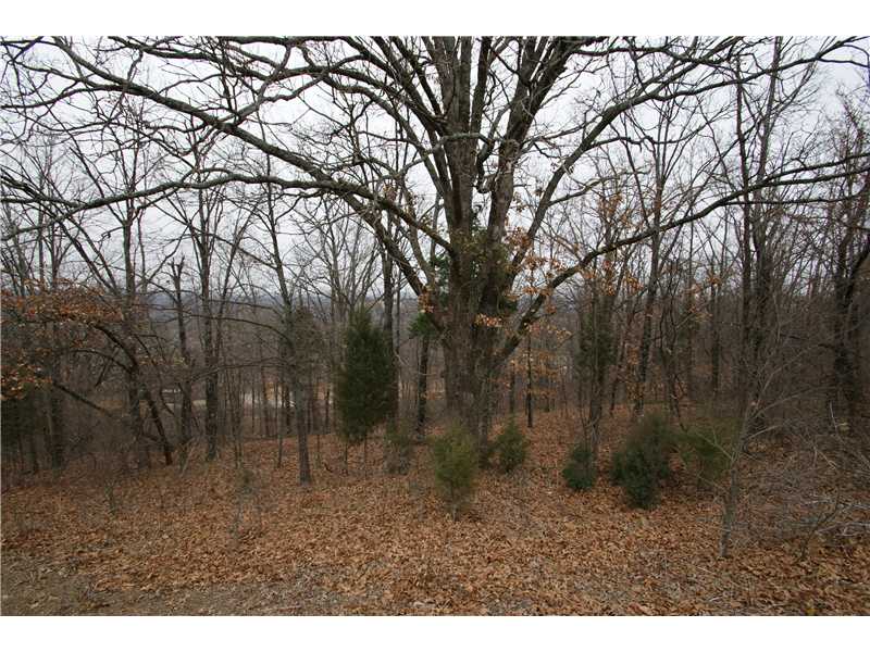 4768 Rd, Roland, OK 74954