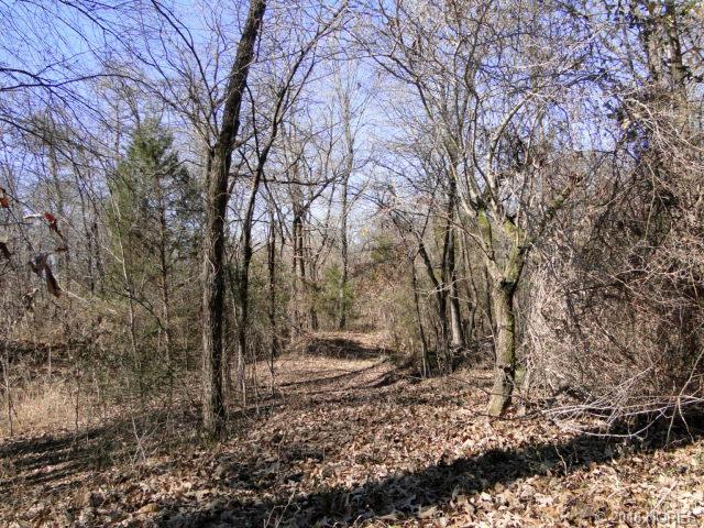1145 Road, Sallisaw, OK 74955