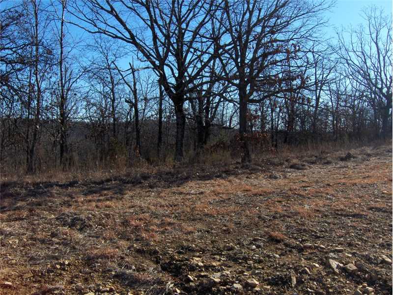 Sequoyah Dr, Vian, OK 74962