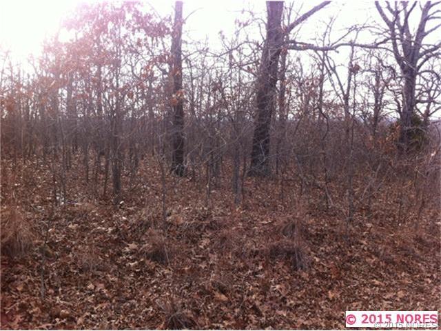 Vian, OK 74962