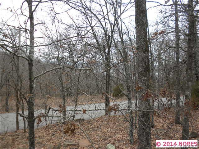 Ridge Route Road, Vian, OK 74962