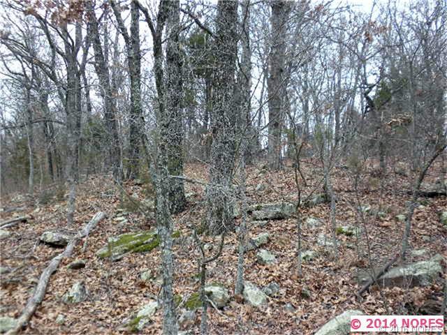 Ridge Route Road, Vian, OK 74962