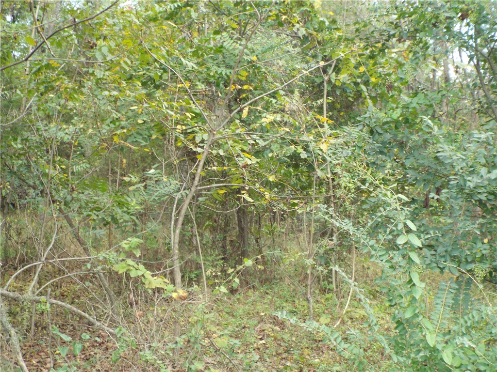 DO 595, Watts, OK 74964