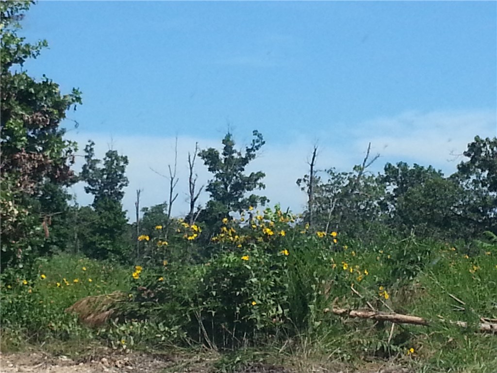Rt 2 Addilee, Westville, OK 74965
