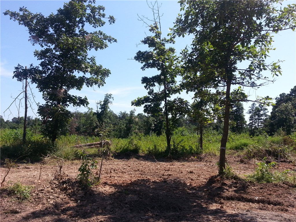 Rt 2 Addilee, Westville, OK 74965