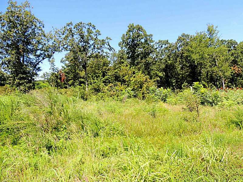 Wolf Mountain Dr, Wister, OK 74966