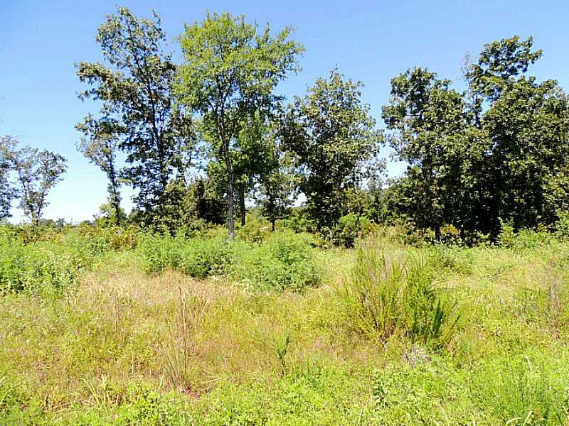 Wolf Mountain Dr, Wister, OK 74966