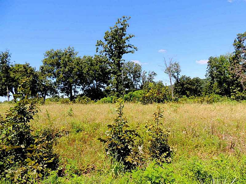 Wolf Mountain Dr, Wister, OK 74966