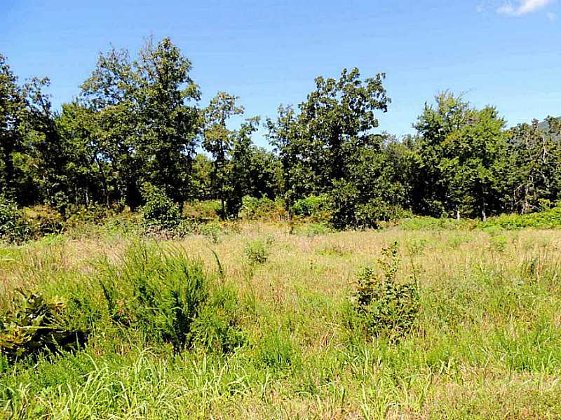 Wolf Mountain Dr, Wister, OK 74966