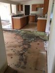 25461 S BEESON RD ,OR, Beavercreek, 97004