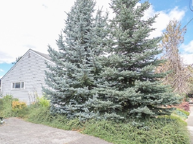5455 SW Franklin AveBeaverton, OR, 97005Washington County