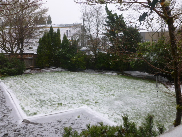 16020 NW Elizabeth CtBeaverton, OR, 97006Washington County