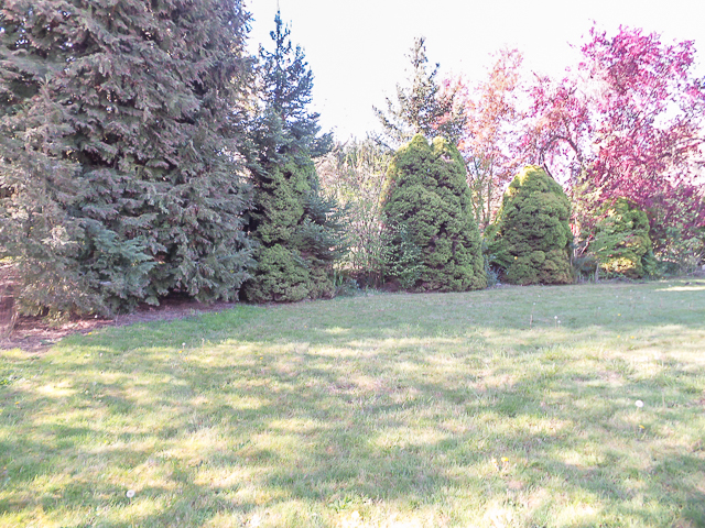 16570 S.W. Wright StreetBeaverton, OR, 97007Washington County