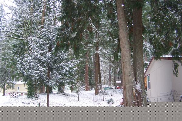 32700 SE Leewood Ln Unit 83 ,OR, Boring, 97009