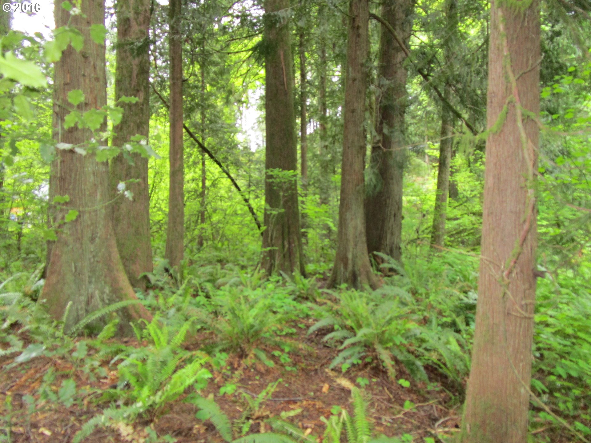 0 E Brightwood LOOP, Brightwood, OR 97011