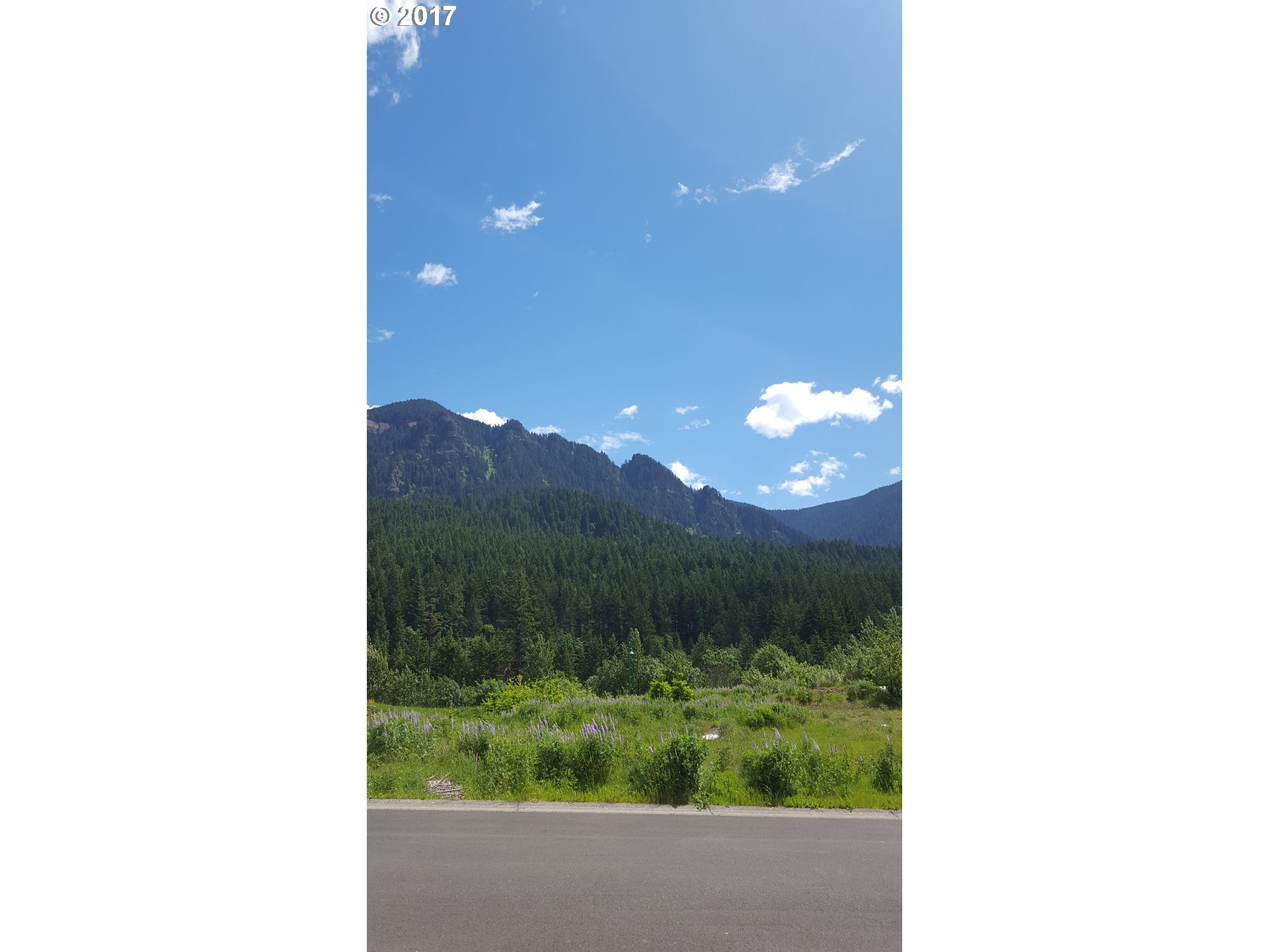 1120 CHINOOKAN DR 39, Cascade Locks, OR 97014
