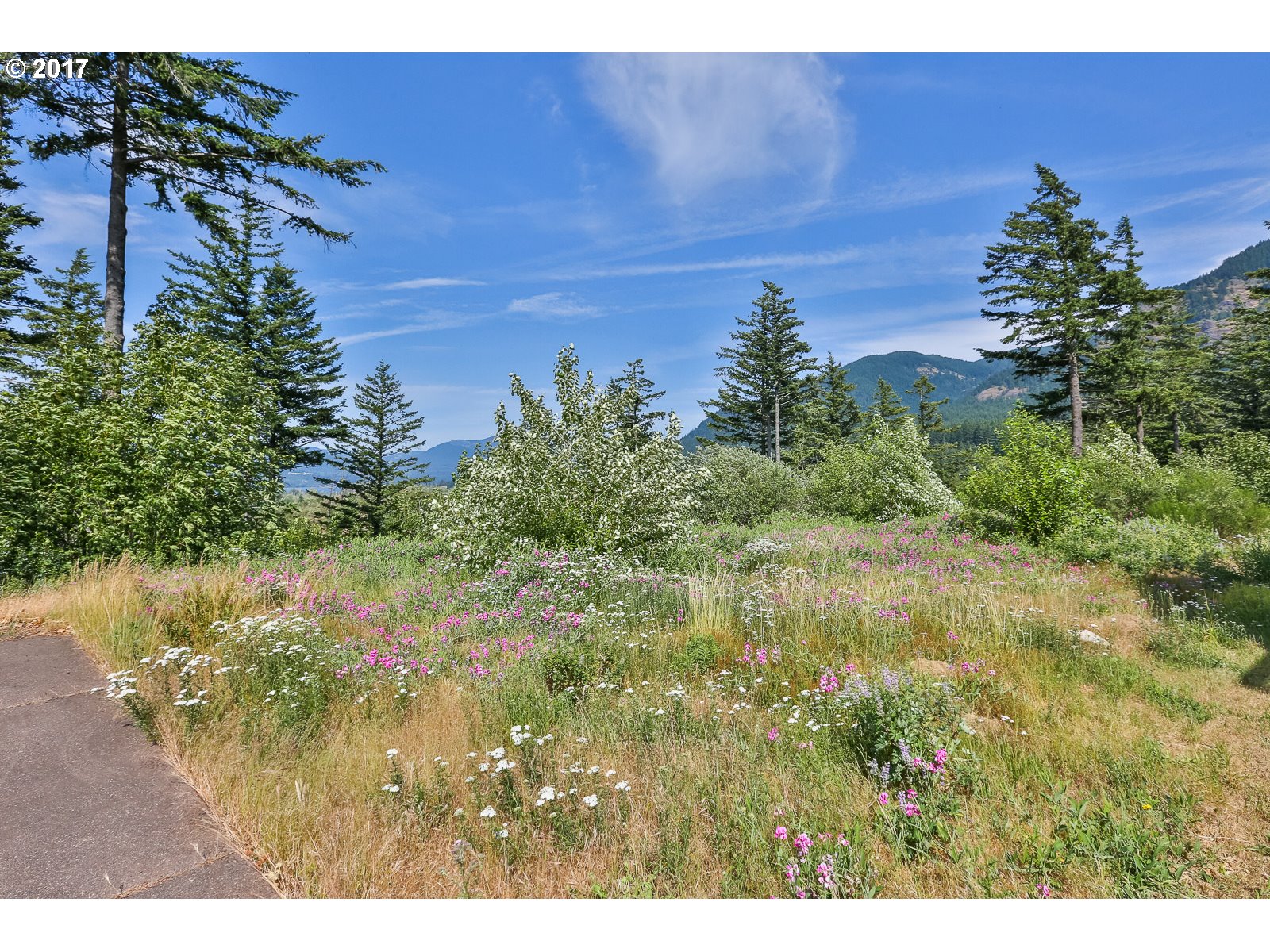84 SHAHALA DR 12, Cascade Locks, OR 97014
