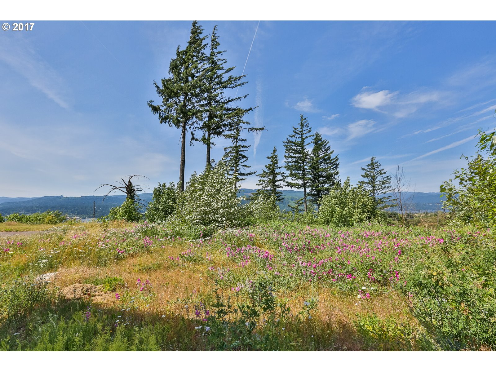 84 SHAHALA DR 12, Cascade Locks, OR 97014