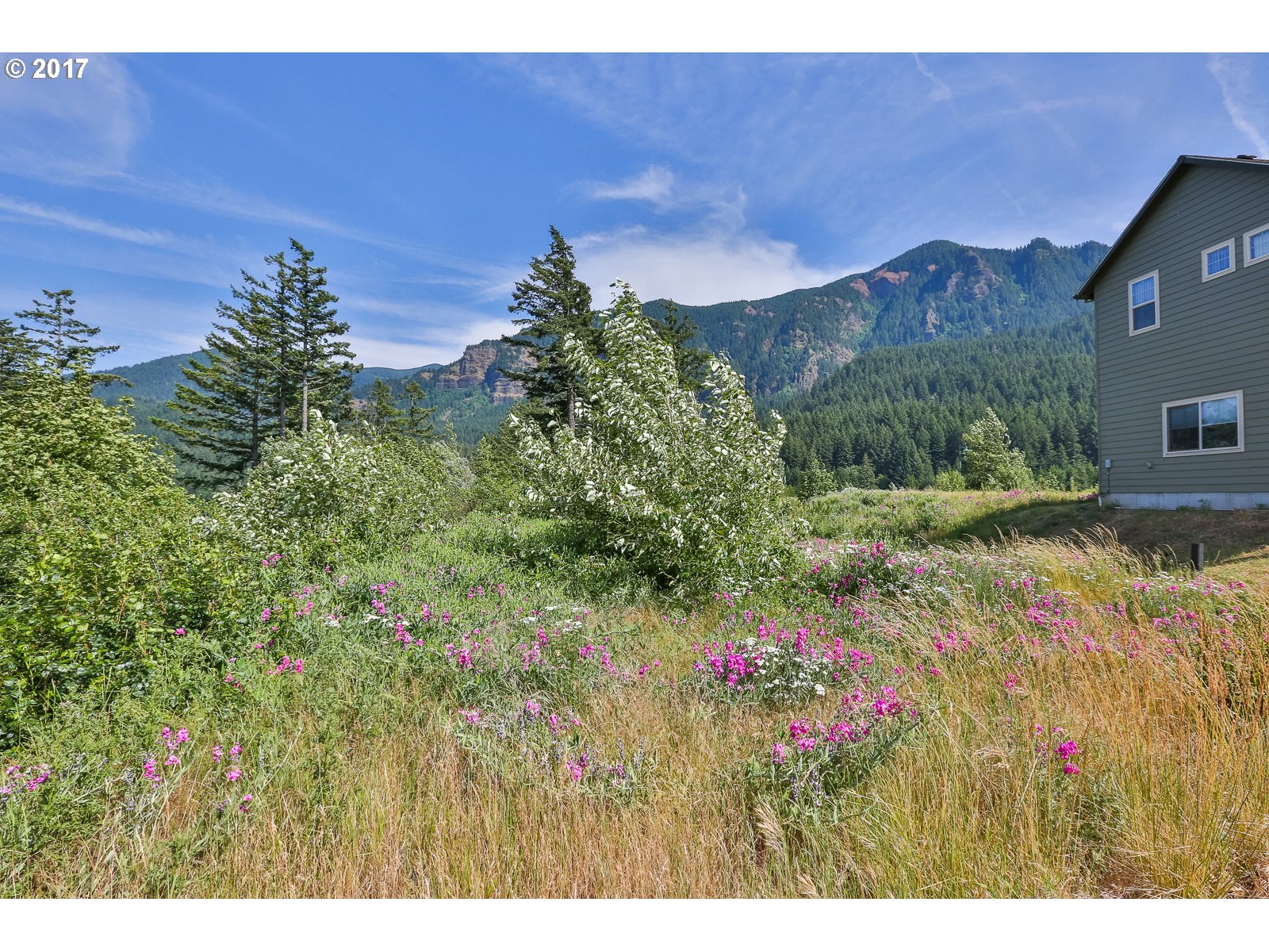 84 SHAHALA DR 12, Cascade Locks, OR 97014