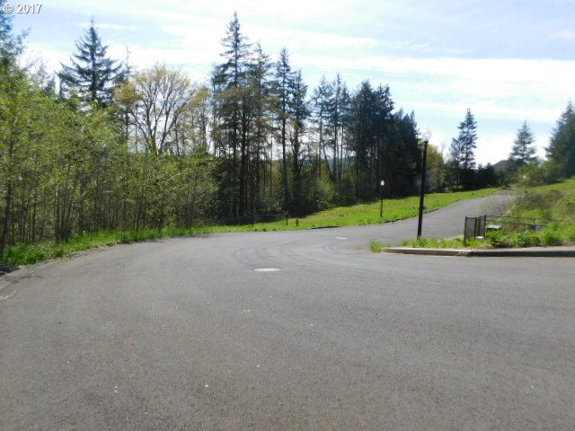 849 NE VIRGINIA 26 CIR, Clatskanie, OR 97016