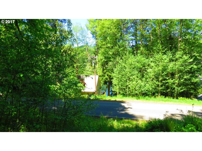 FISHHAWK RD, Birkenfeld, OR 97016