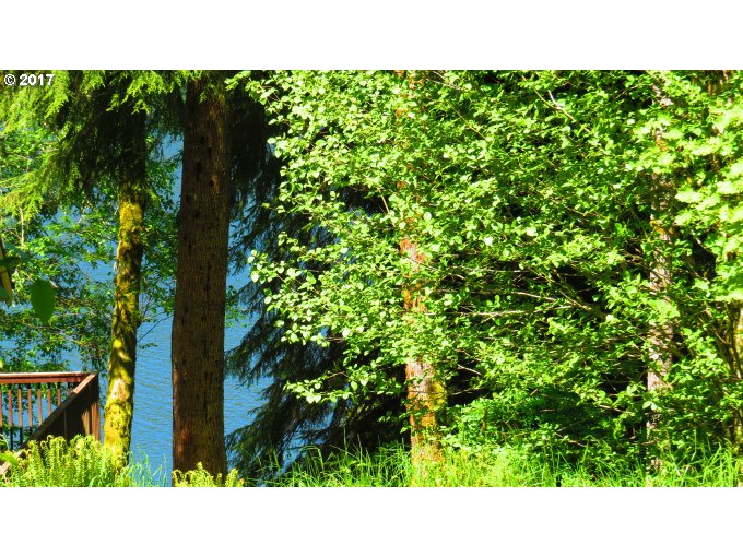FISHHAWK RD, Birkenfeld, OR 97016