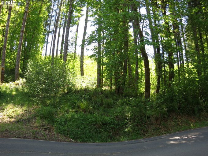 FISHHAWK RD, Birkenfeld, OR 97016
