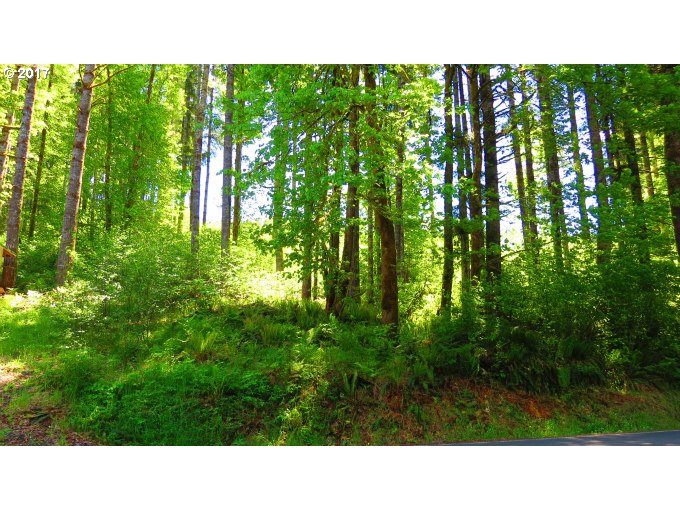 FISHHAWK RD, Birkenfeld, OR 97016