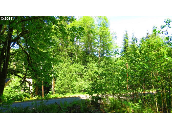 FISHHAWK RD, Birkenfeld, OR 97016