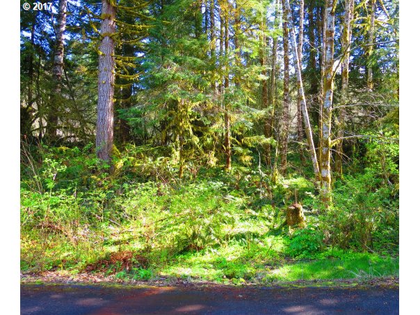 10020 BEACH RD, Birkenfeld, OR 97016