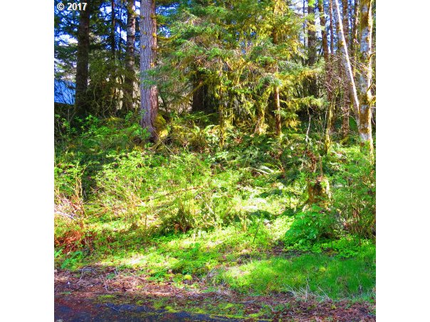 10020 BEACH RD, Birkenfeld, OR 97016