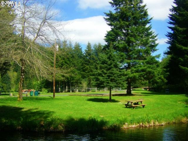 10020 BEACH RD, Birkenfeld, OR 97016