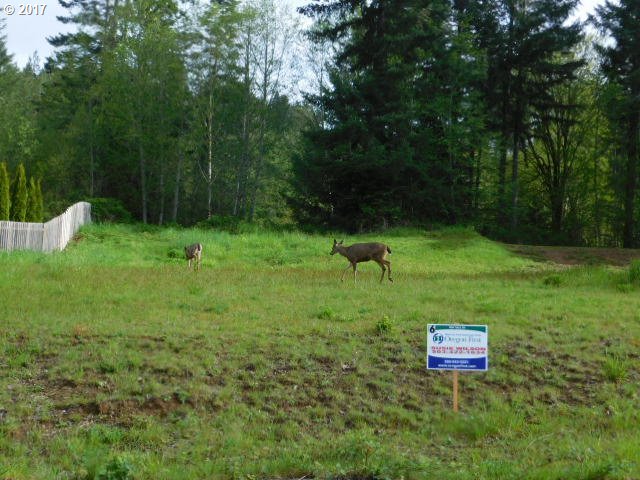 922 NE SUNSET CT 6, Clatskanie, OR 97016