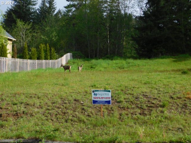 922 NE SUNSET CT 6, Clatskanie, OR 97016