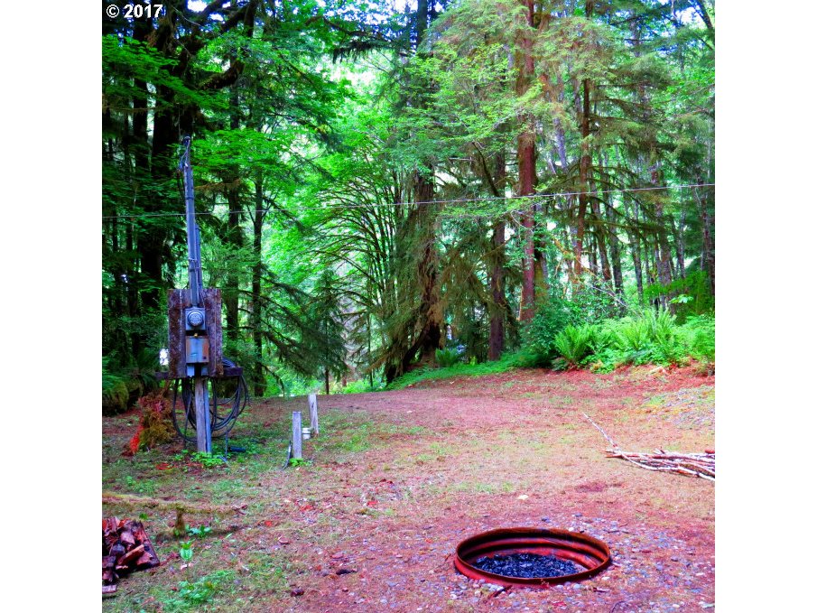 10190 RIDGE VIEW TER, Birkenfeld, OR 97016