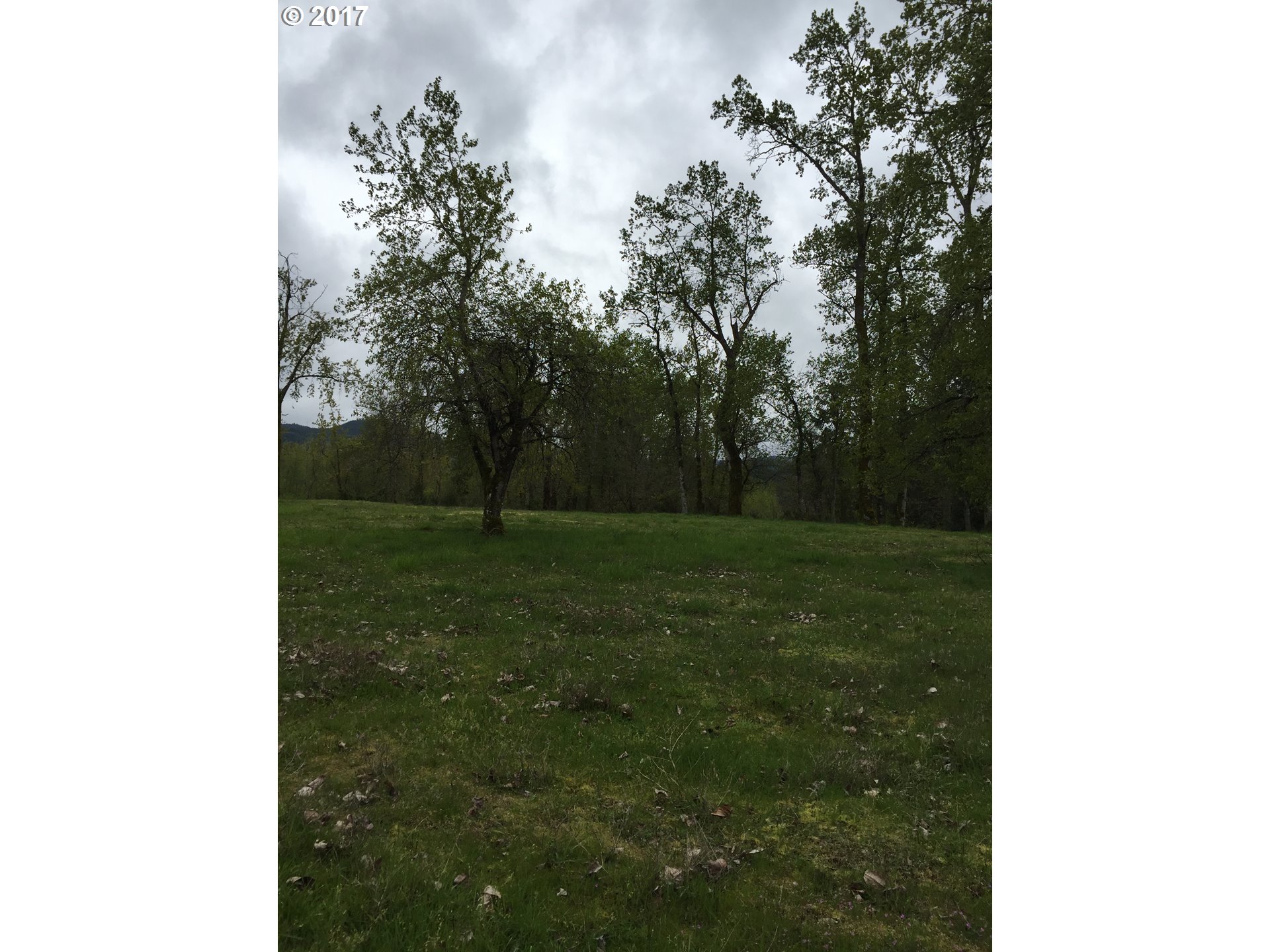 River Ranch DR, Clatskanie, OR 97016