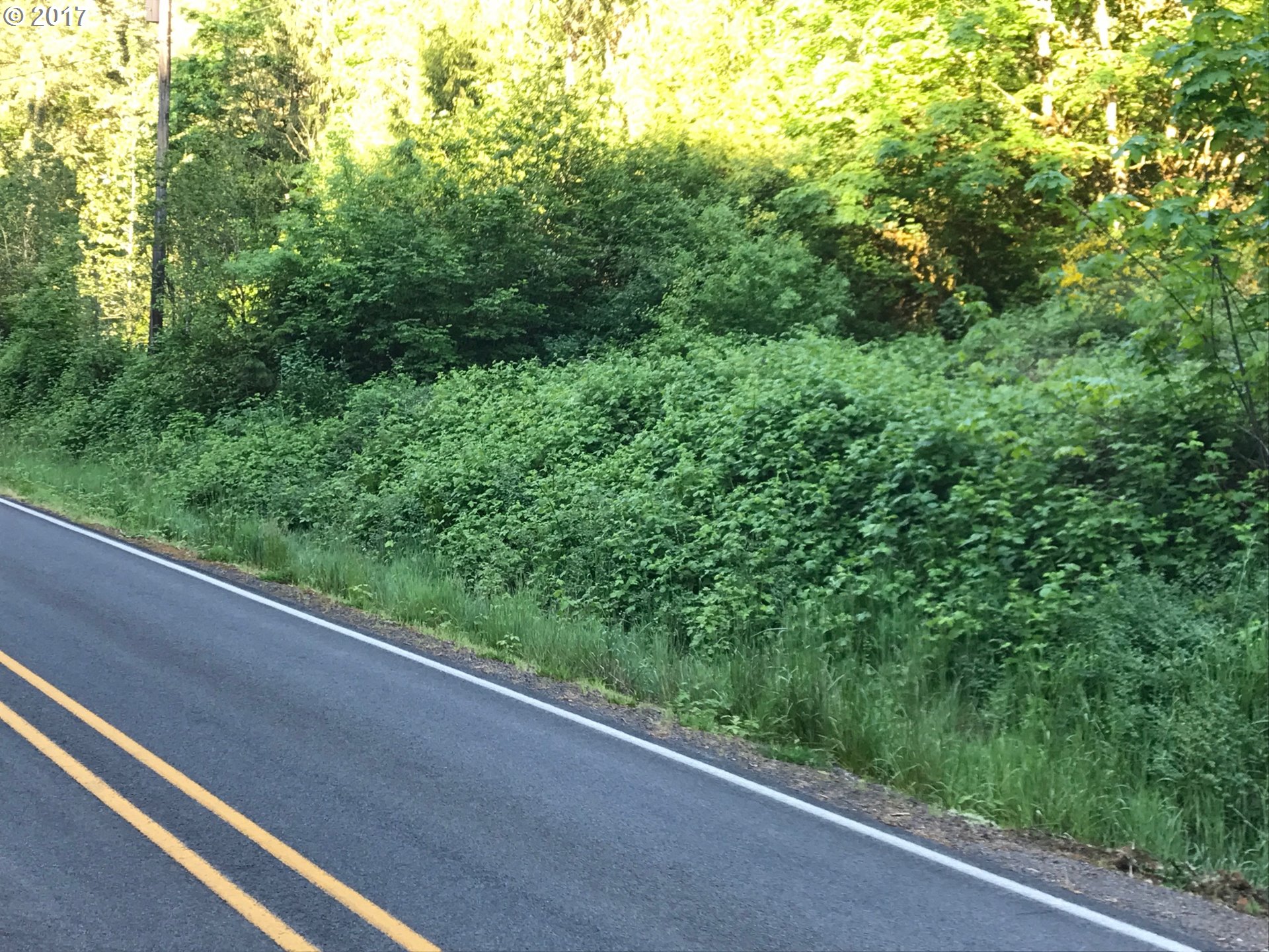 0 Wilhoit, Molalla, OR 97038