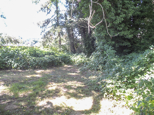 16495 S Hunter AveOregon City, OR, 97045Clackamas County