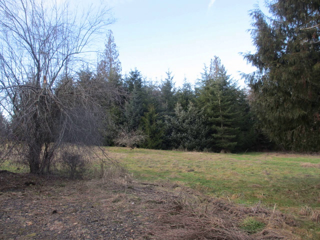 77008 Emil RdRainier, OR, 97048Columbia County