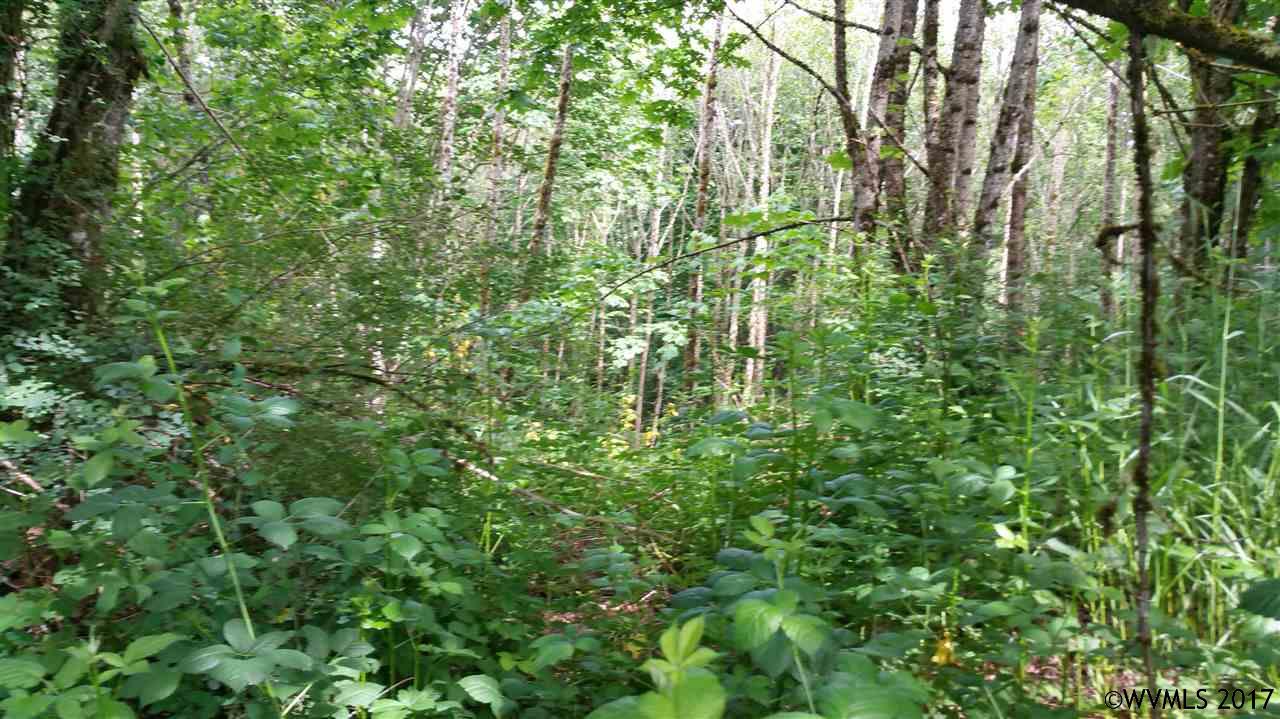 0Fern Hill Rd, St Helens, OR 97048