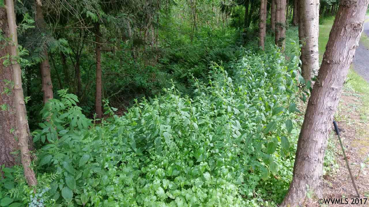 0Fern Hill Rd, St Helens, OR 97048