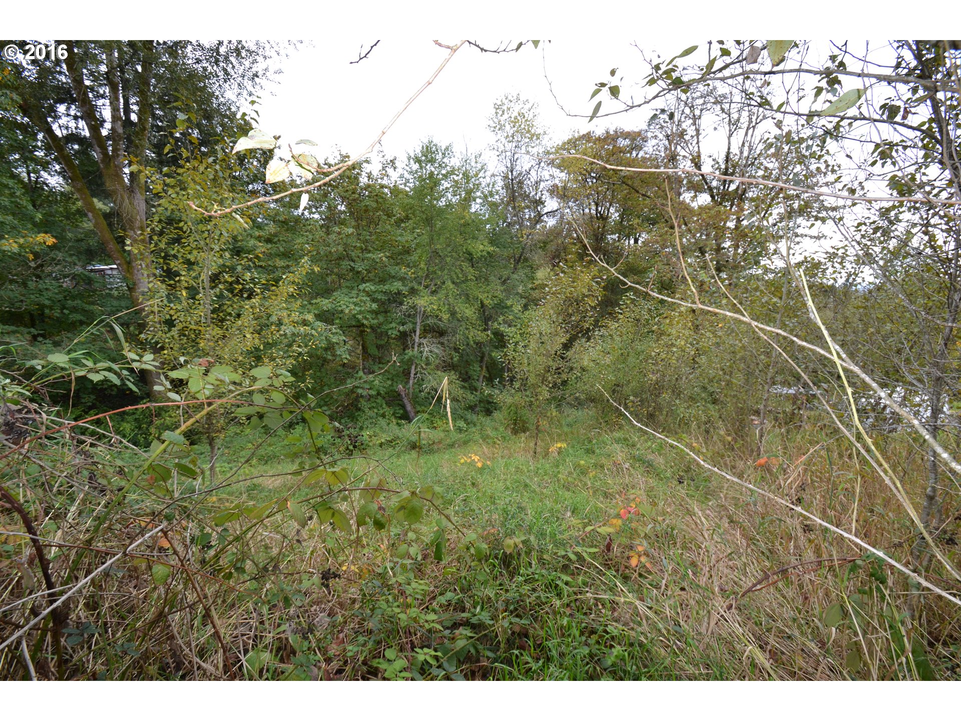 29545 Ranier RD, Rainier, OR 97048