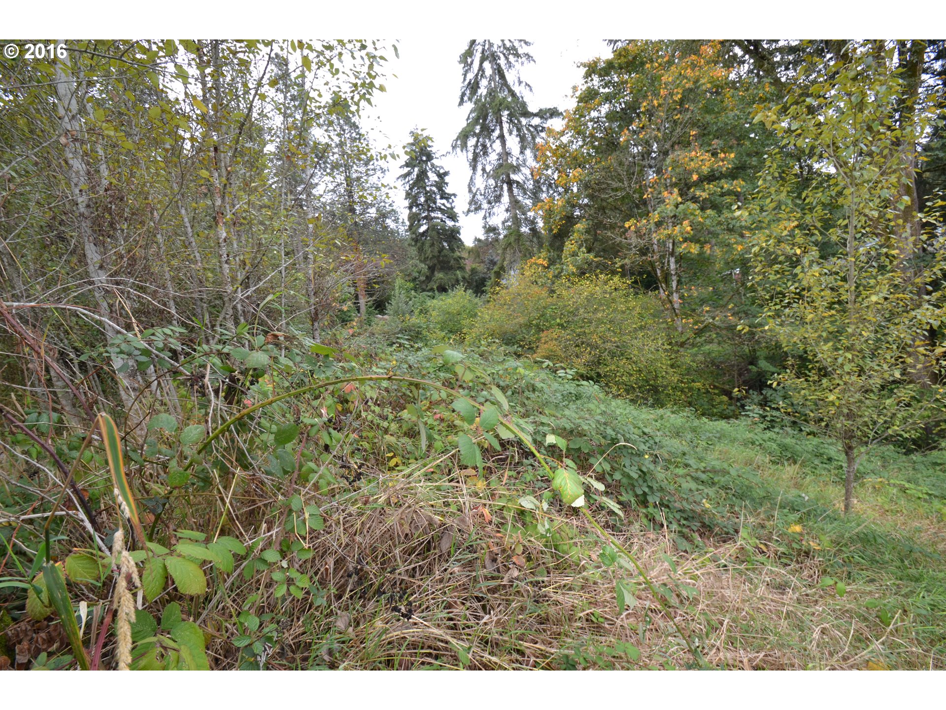 29545 Ranier RD, Rainier, OR 97048