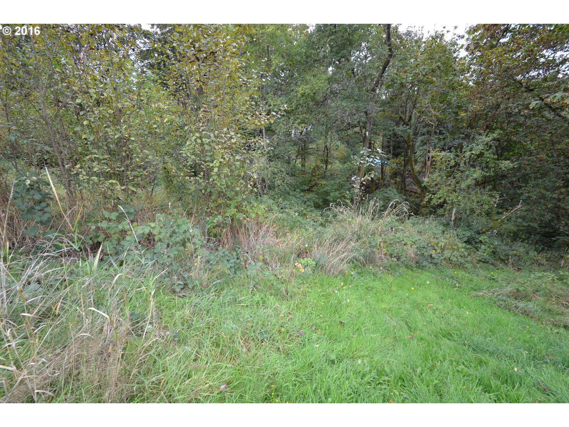 29545 Ranier RD, Rainier, OR 97048