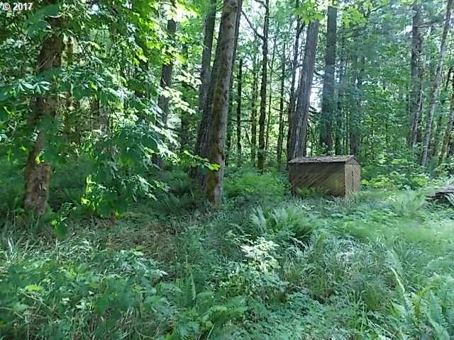 0 Lost Shelter RD, Rhododendron, OR 97049