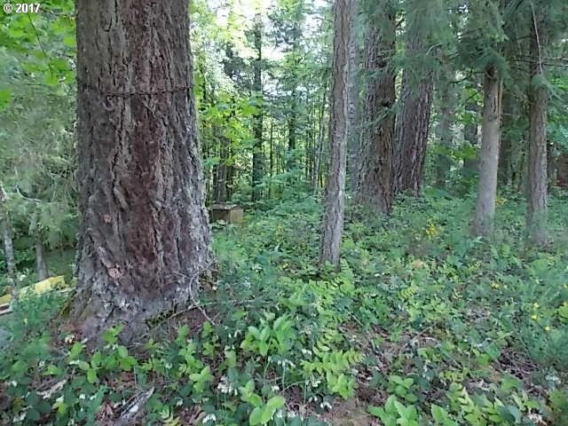 E Roaring River Lt5000 RD, Rhododendron, OR 97049