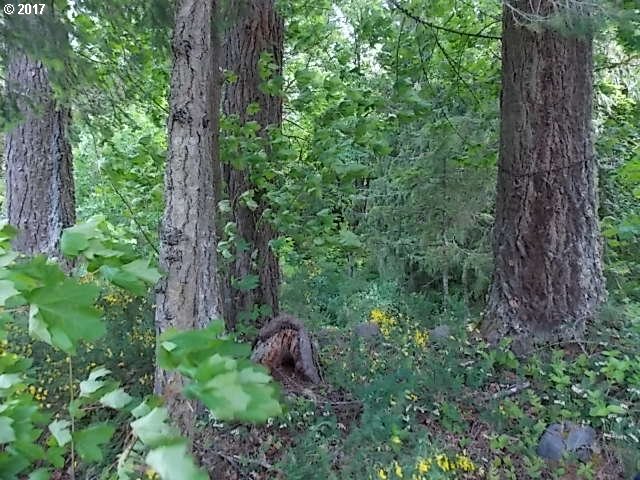 0 E Lost Shelter, Rhododendron, OR 97049