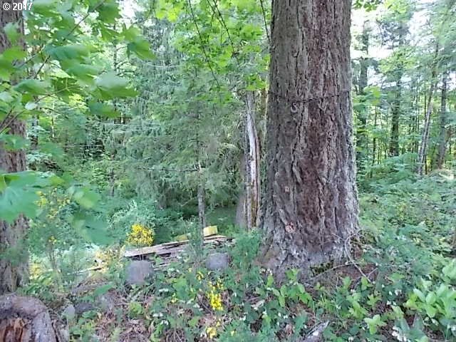 0 E Lost Shelter, Rhododendron, OR 97049