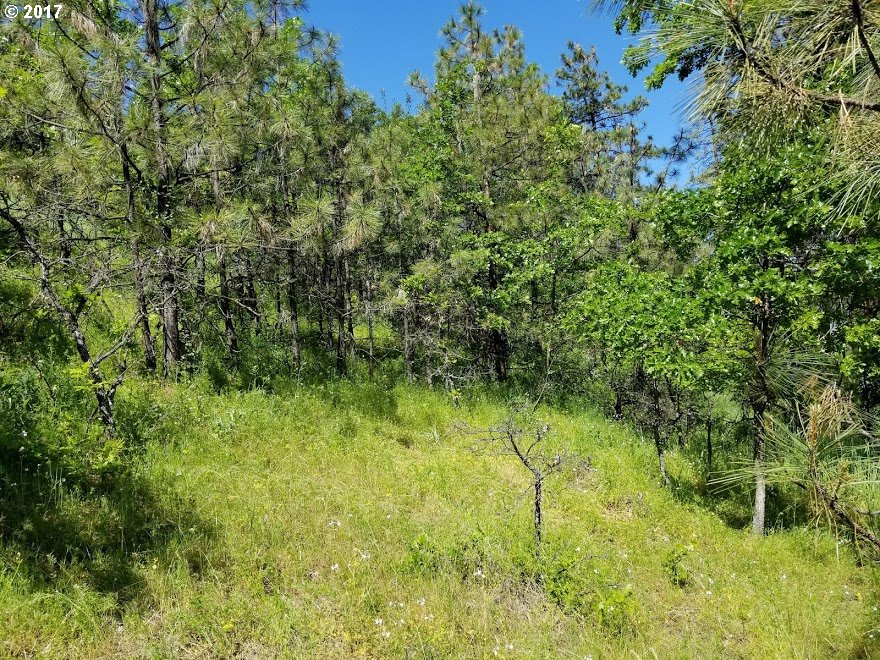 H RD, The Dalles, OR 97058